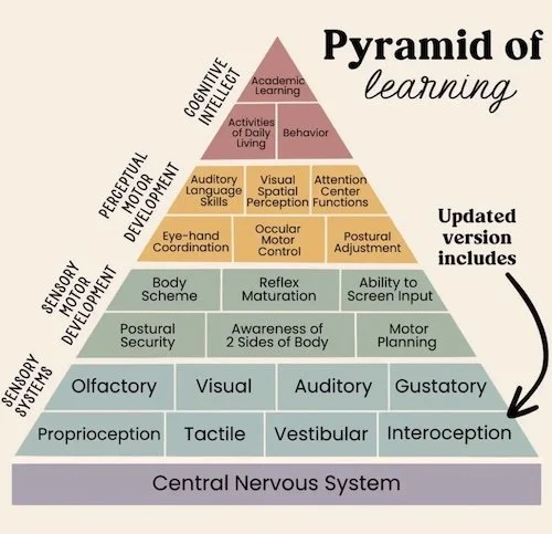 pyramid of learning created by Kathleen Taylor and Maryann Trott