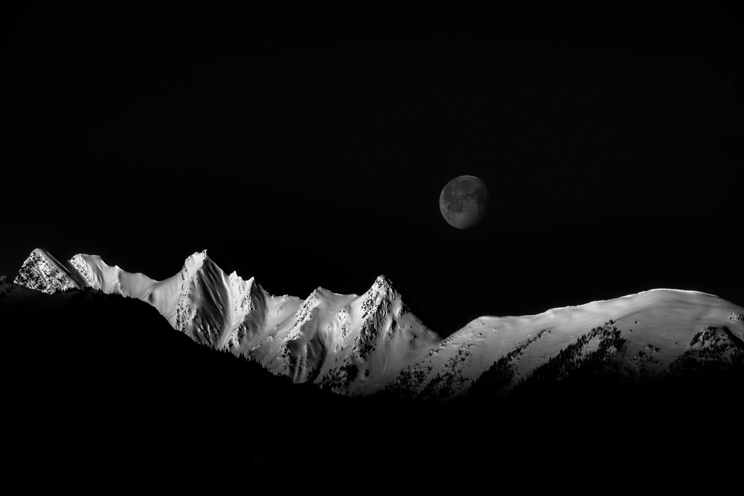 Dogteeth Howling At The Moon |  FA-101 