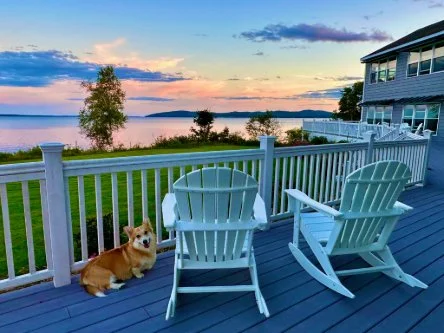 Corgi on deck with chairs by the sea