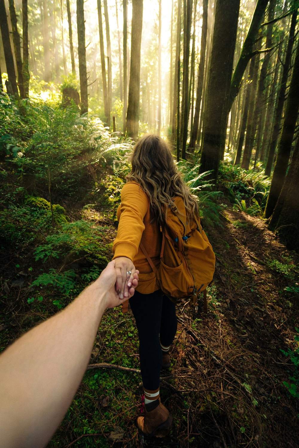 Two people walking hand in hand through a sunlit forest, representing the supportive relationship at the heart of spiritual direction