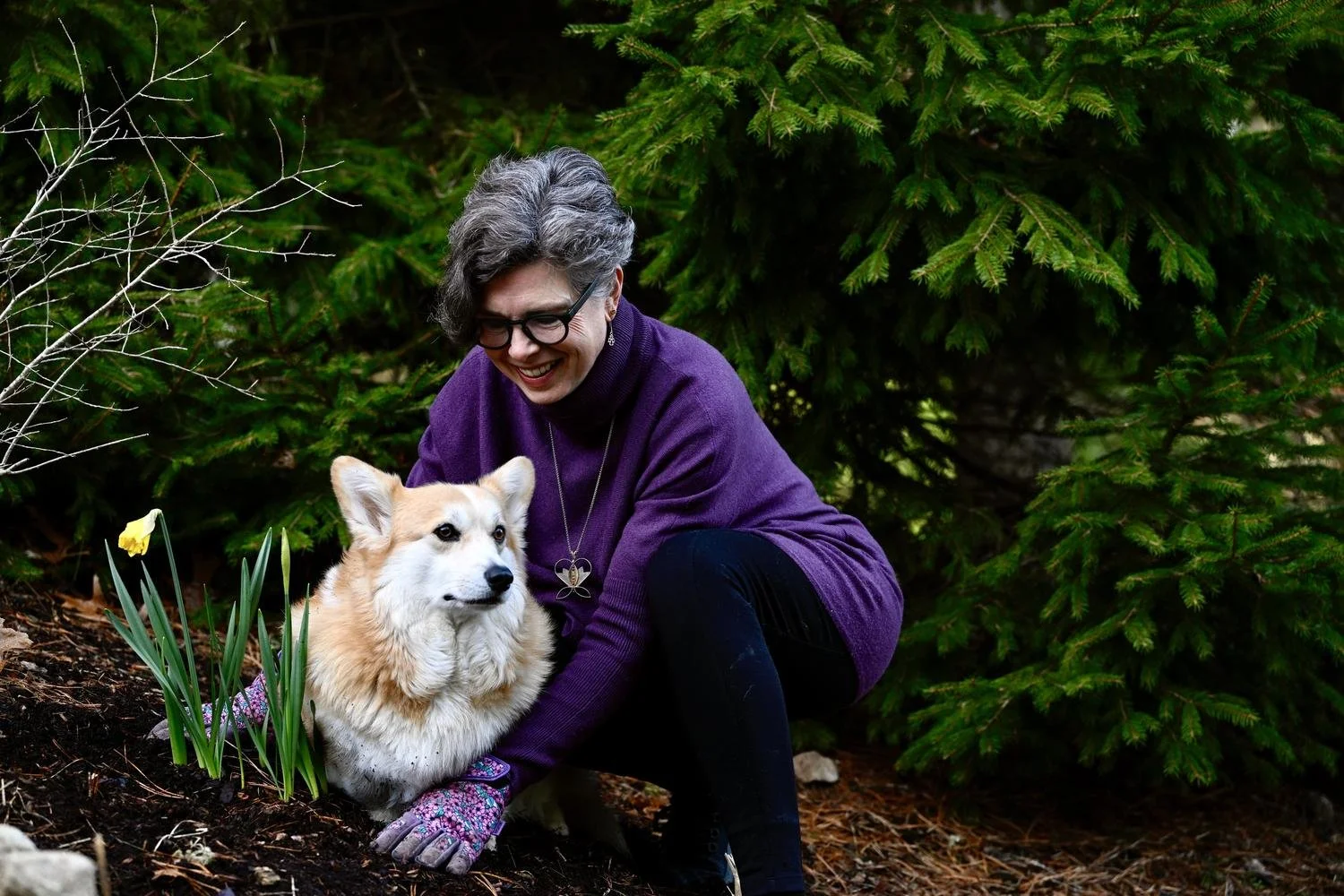 Libby Catania with her corgi among spring daffodils, offering warm and grounded spiritual direction