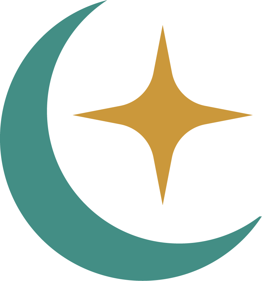 Illustration of a crescent moon and a star, representing the flag of Turkey.
