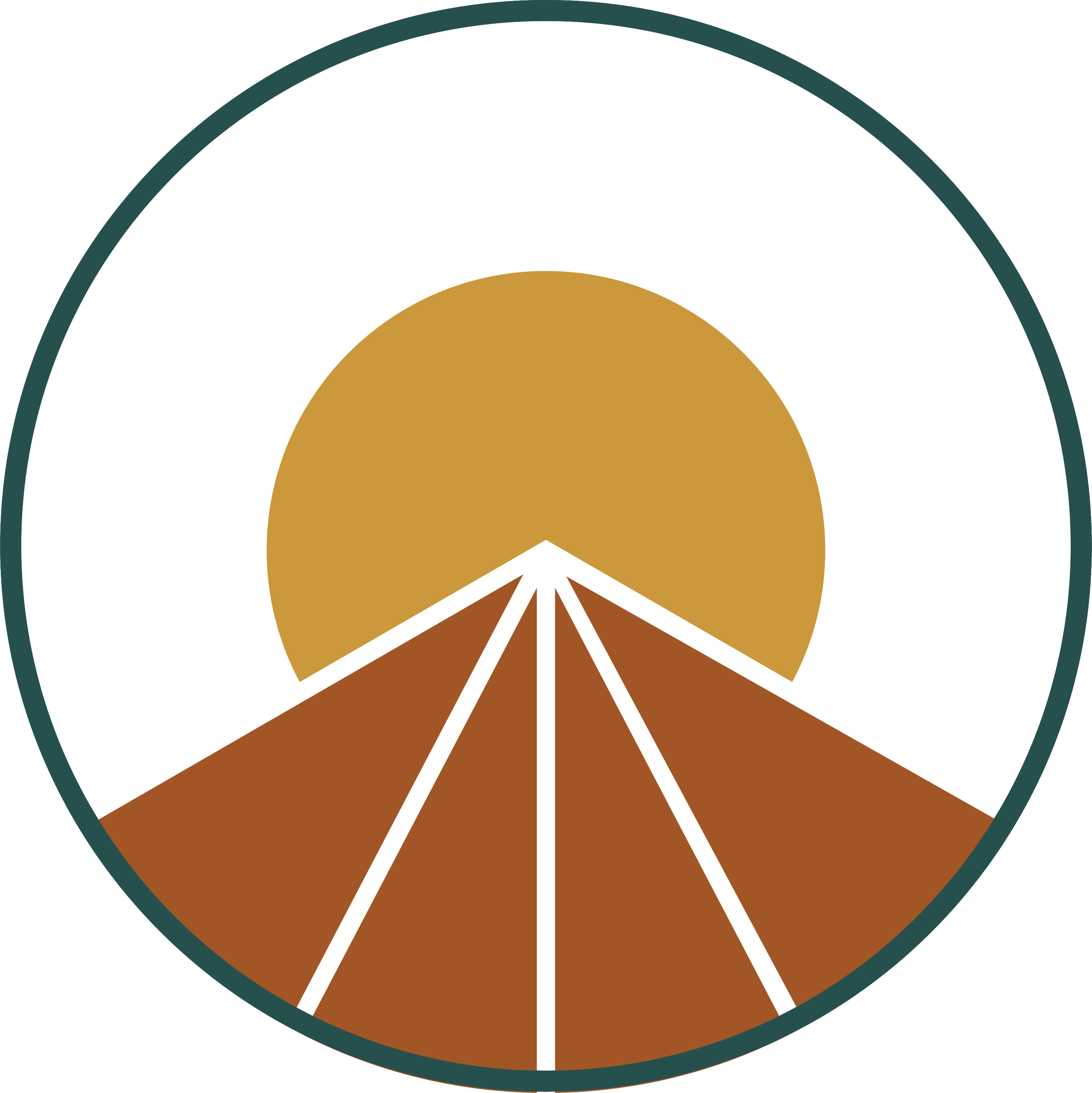 A stylized pie chart with a large white segment, smaller gold, brown, and dark brown segments, and a dark teal border surrounding the circle.