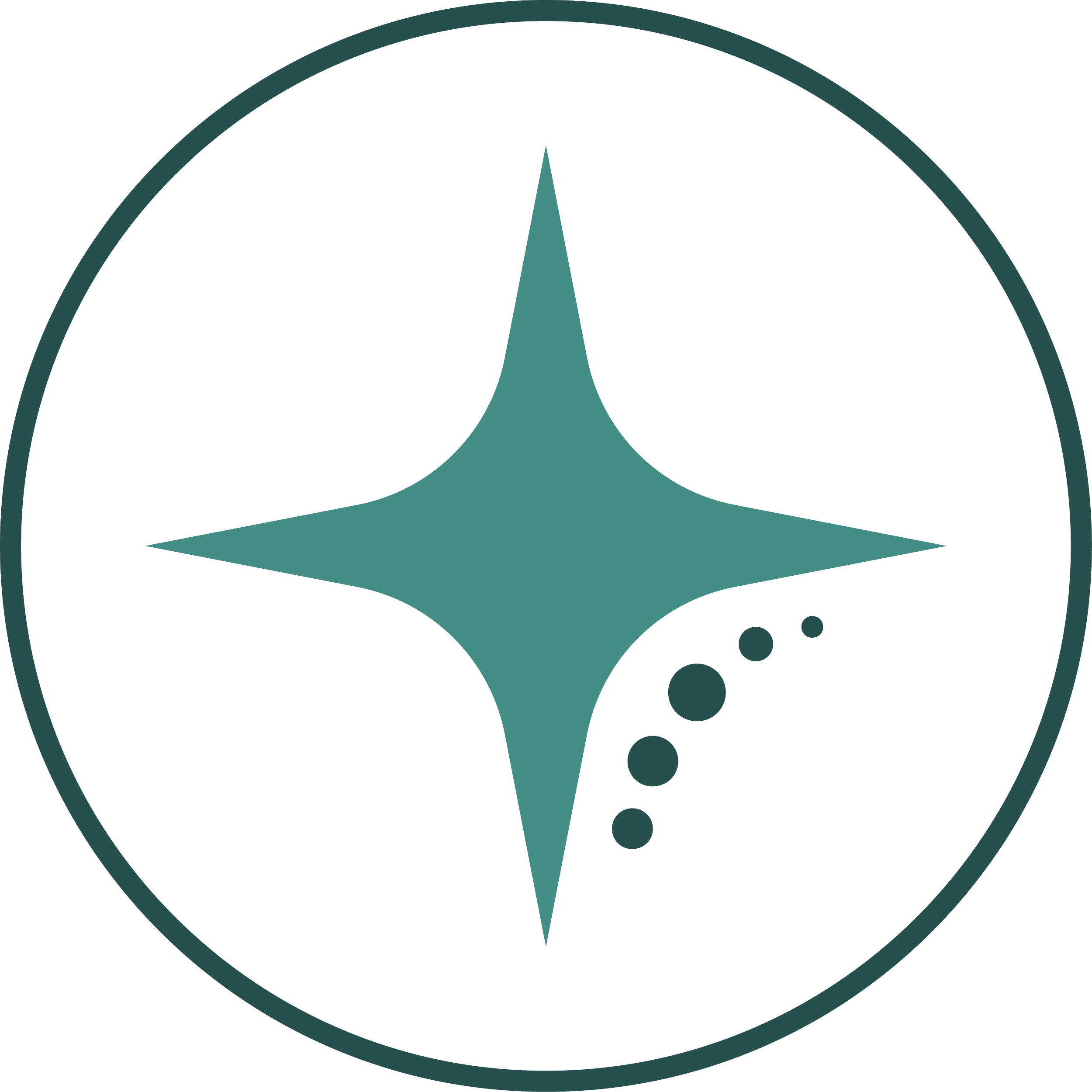 A stylized depiction of a compass needle pointing north within a circular border.