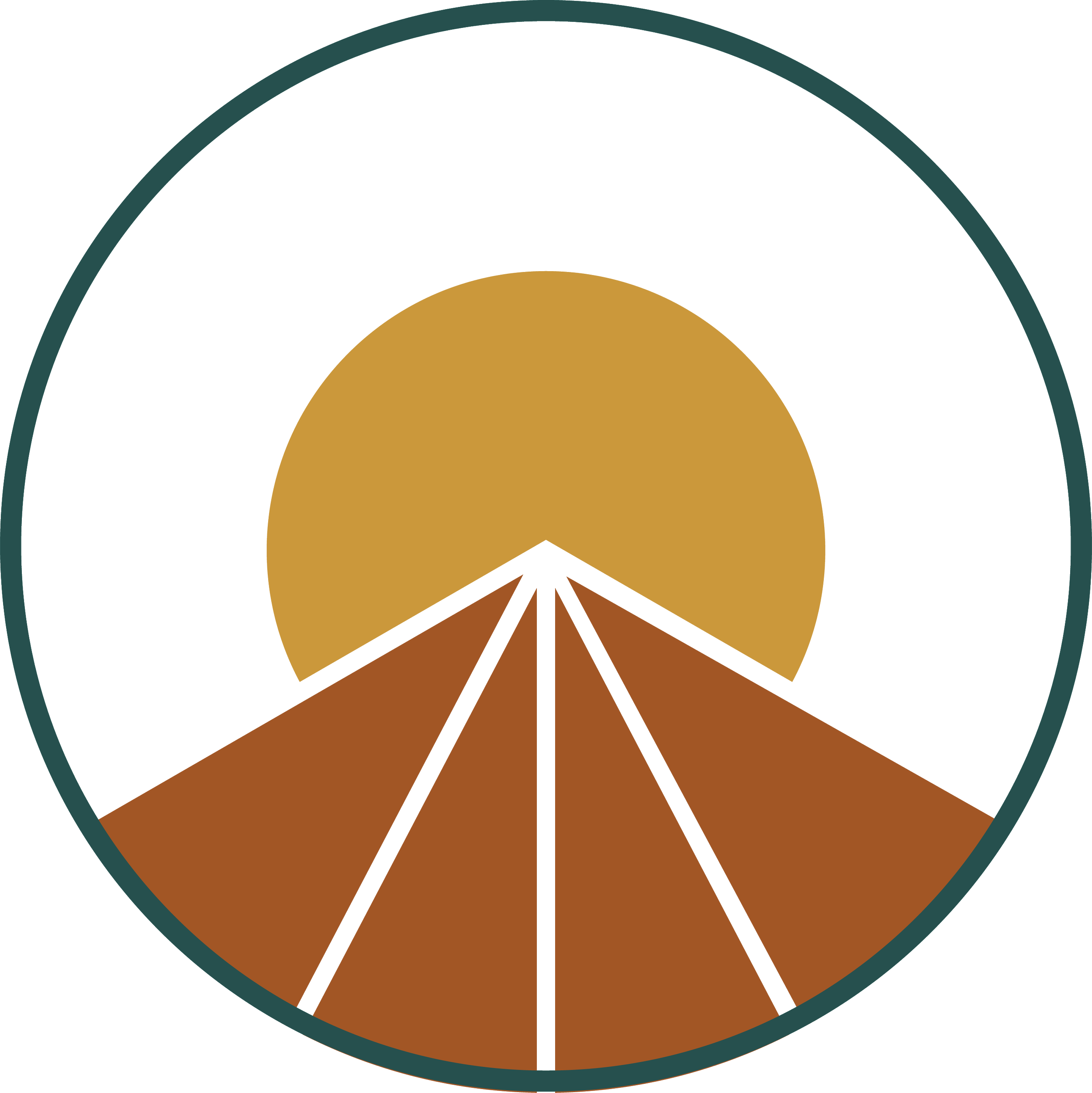 An abstract graphic resembling a hooded figure with a circular border and sunburst pattern at the bottom, in shades of brown, gold, black, teal, and white.