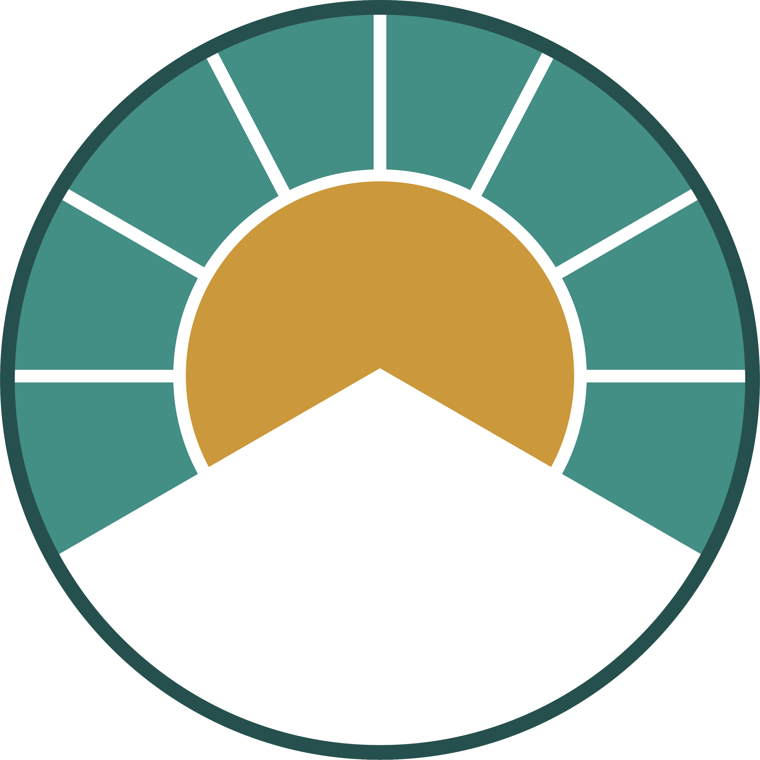 Close-up of a circular infographic with segments in shades of teal and gold.