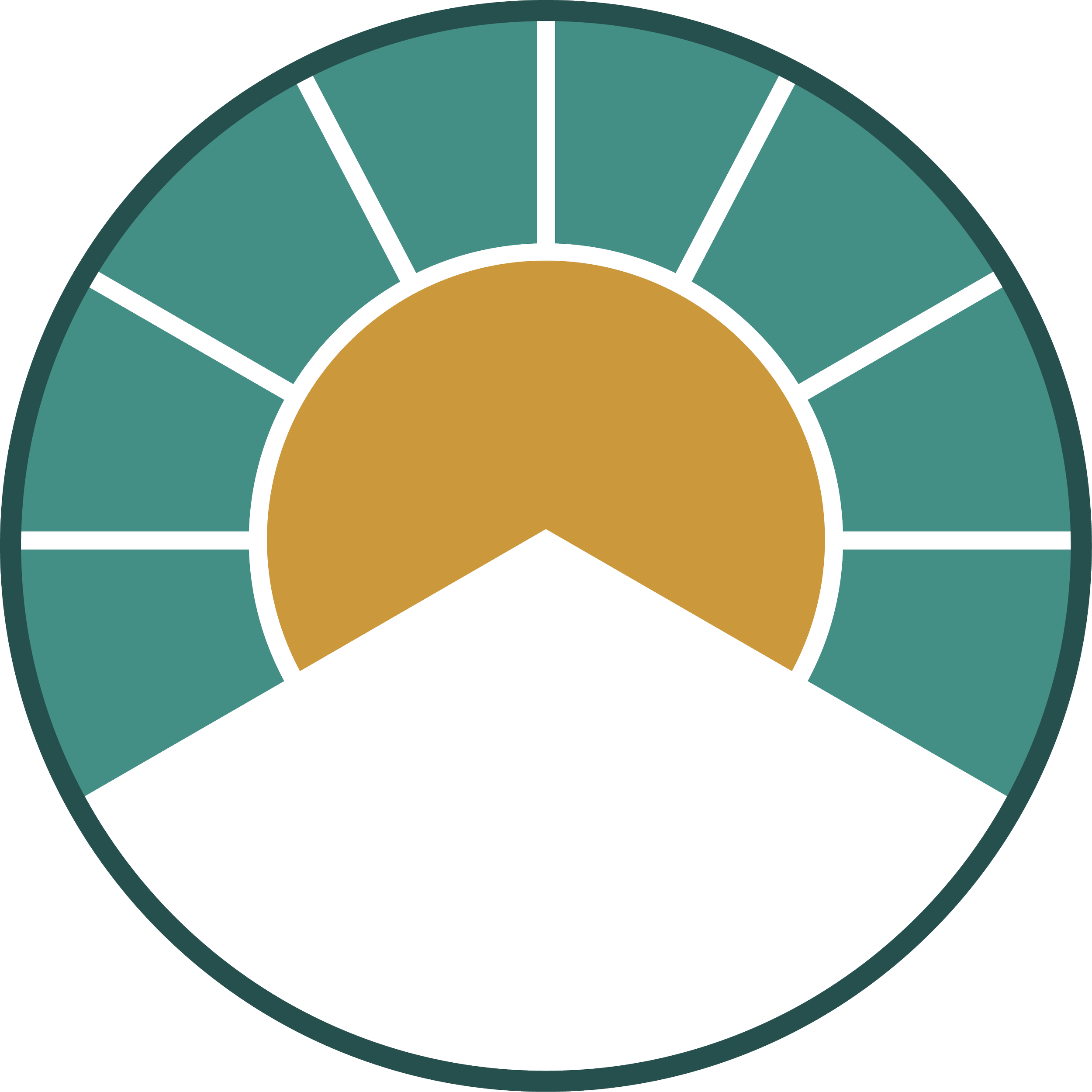 Close-up of a radar chart with multiple segments, featuring a bold outer ring and varied interior sections in shades of teal and gold.