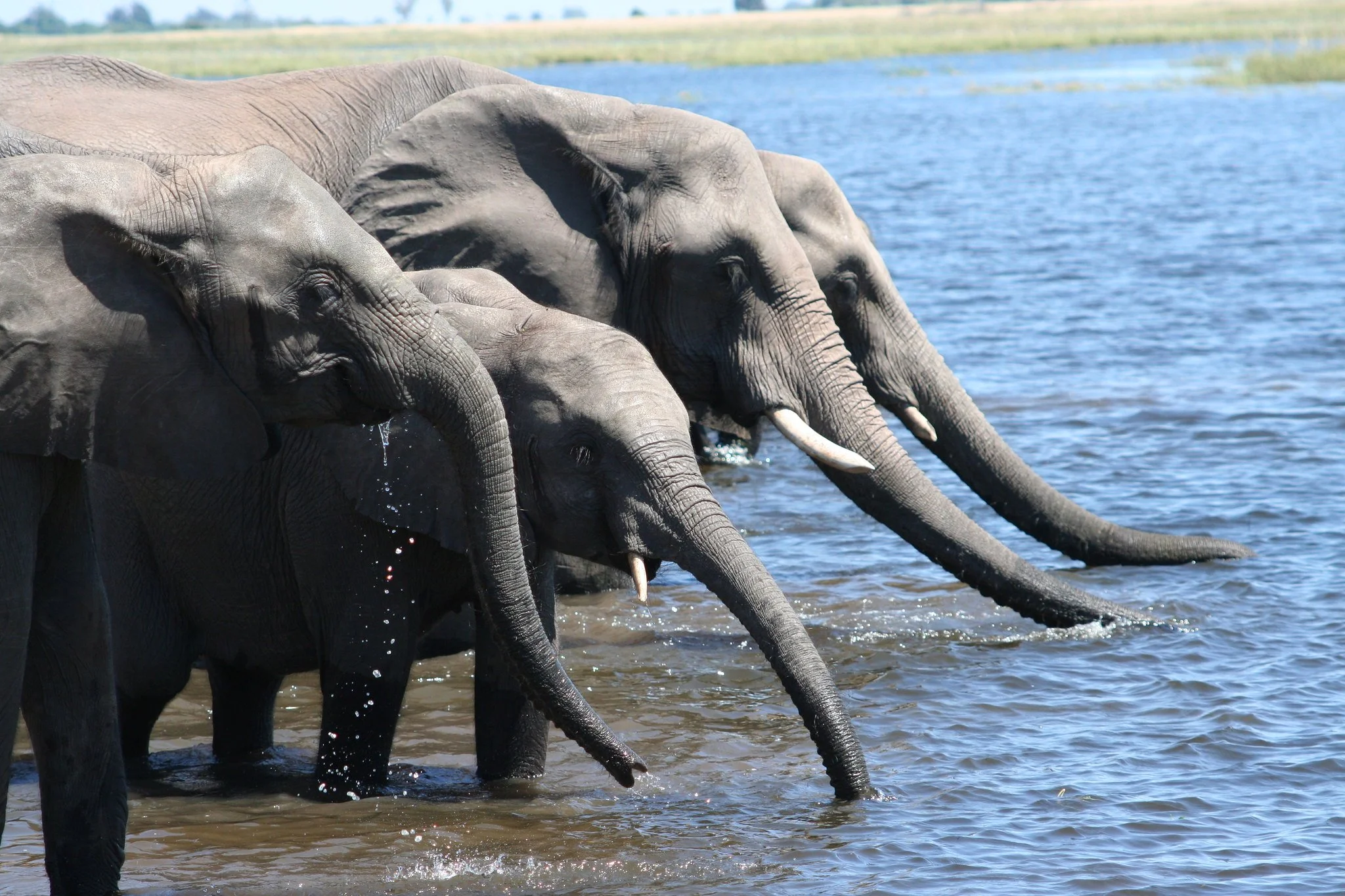 Adventure safari travel - Young Travel