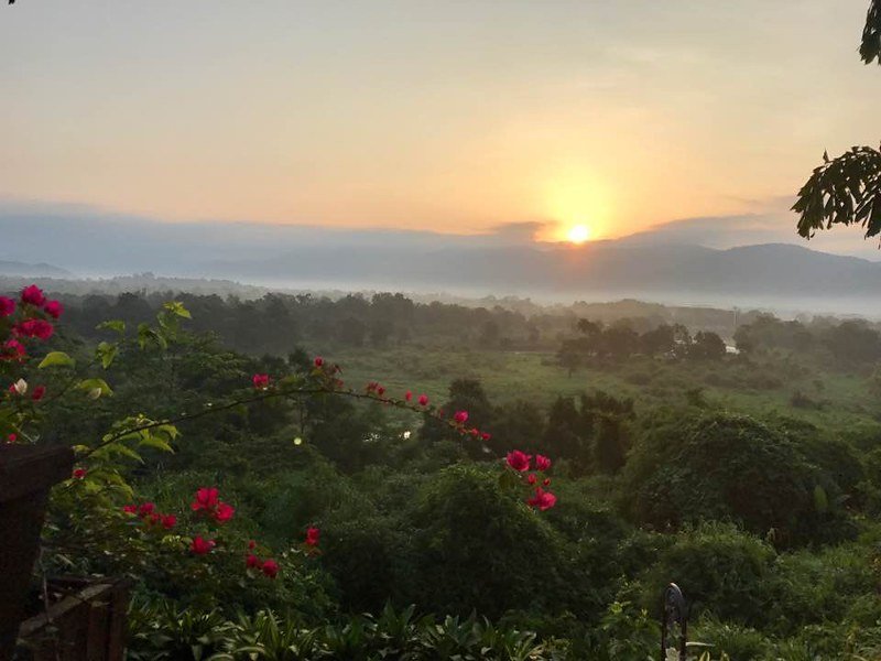 Adventure travel including safaris, gorilla tracking with Young Travel