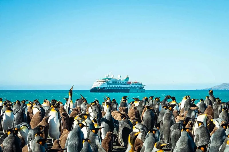 Young Travel & Cruises - elite travel agency