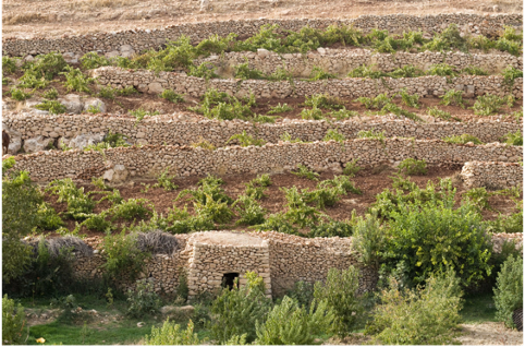 Rocks to Soil