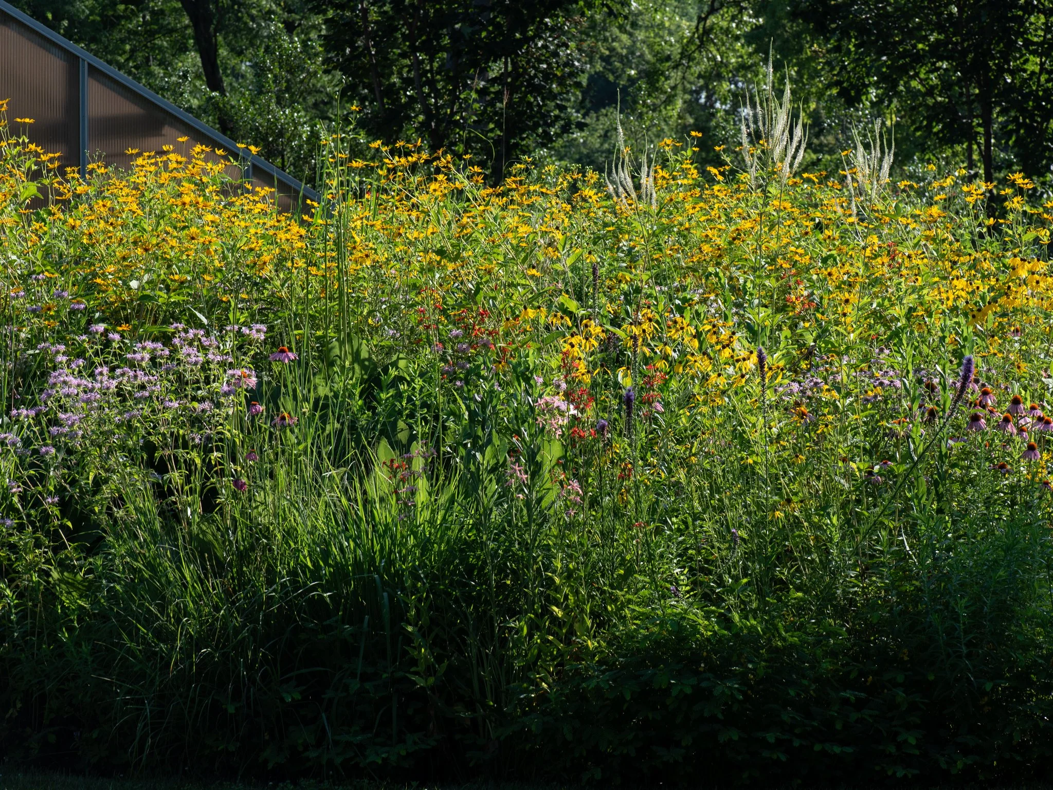 July14HeritagePrairie4.jpg