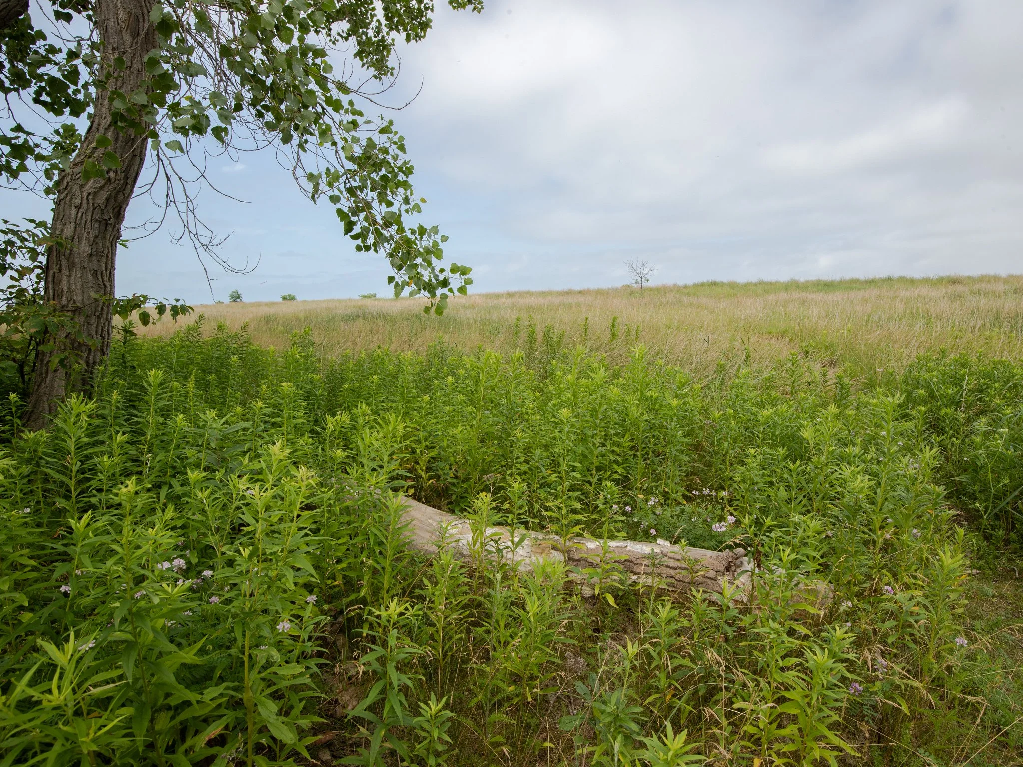 July6Headlands3.jpg