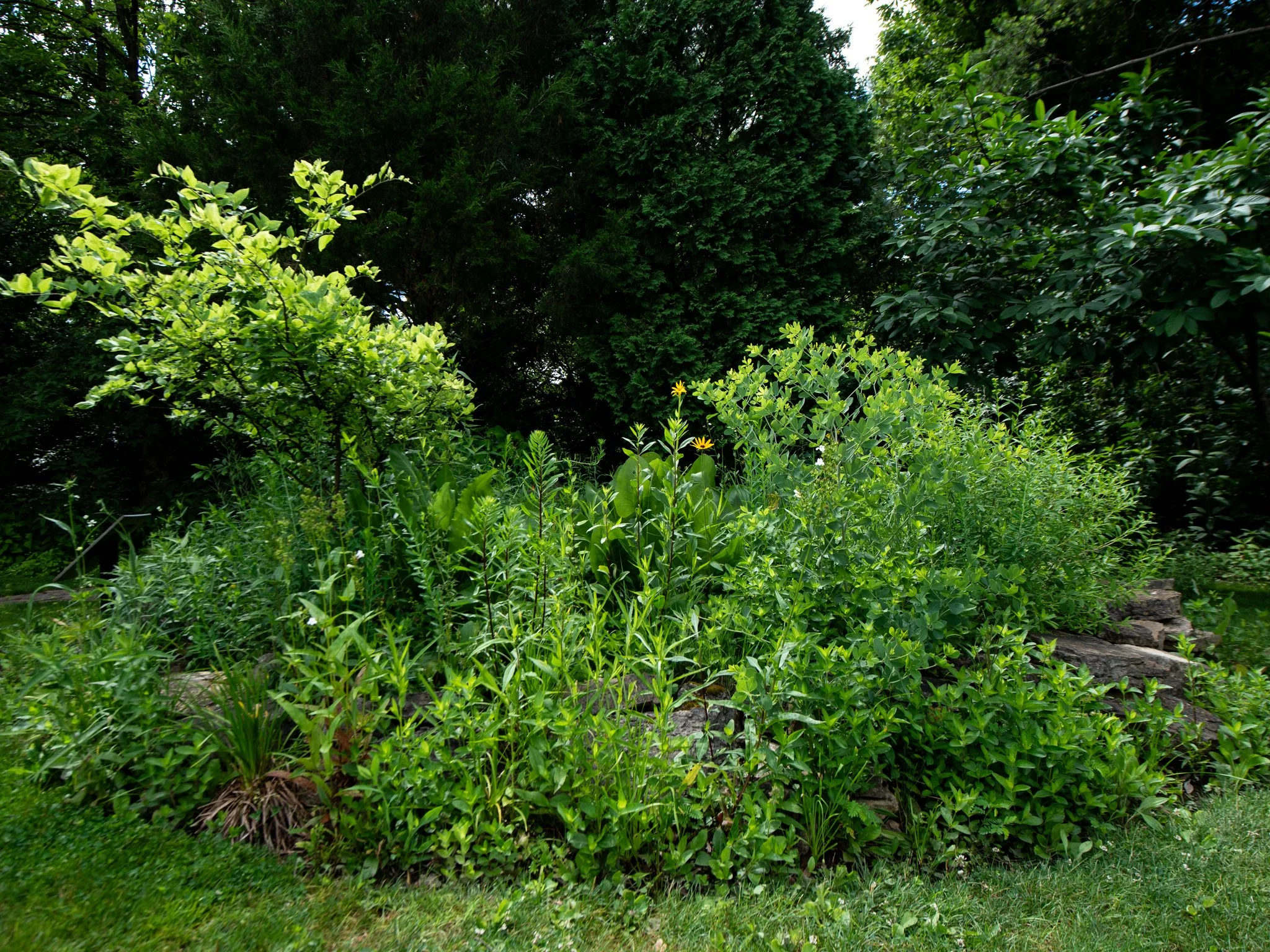 Heritage15June25.jpg