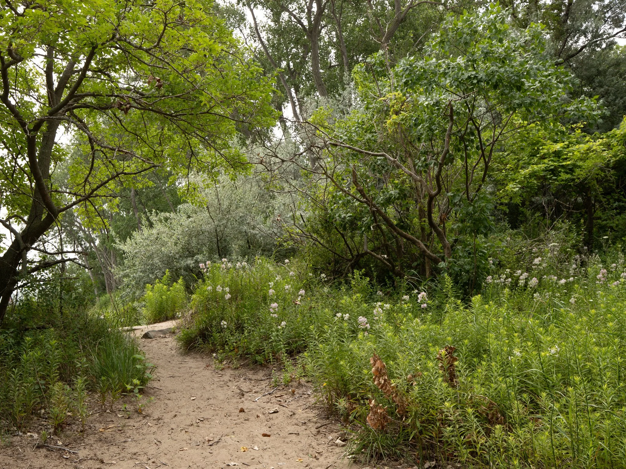 These photographs are an extension of the Heritage Garden, sharing the landscapes that inspired it and the places it encourages us to explore.