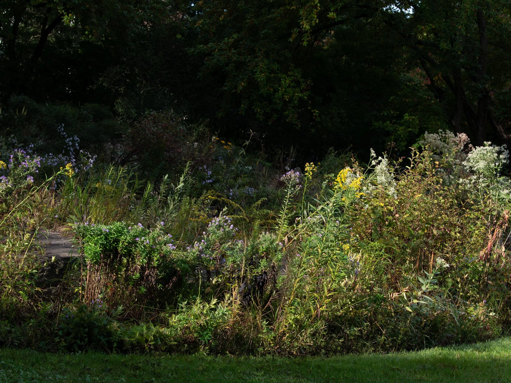 Heritage30September8.jpg
