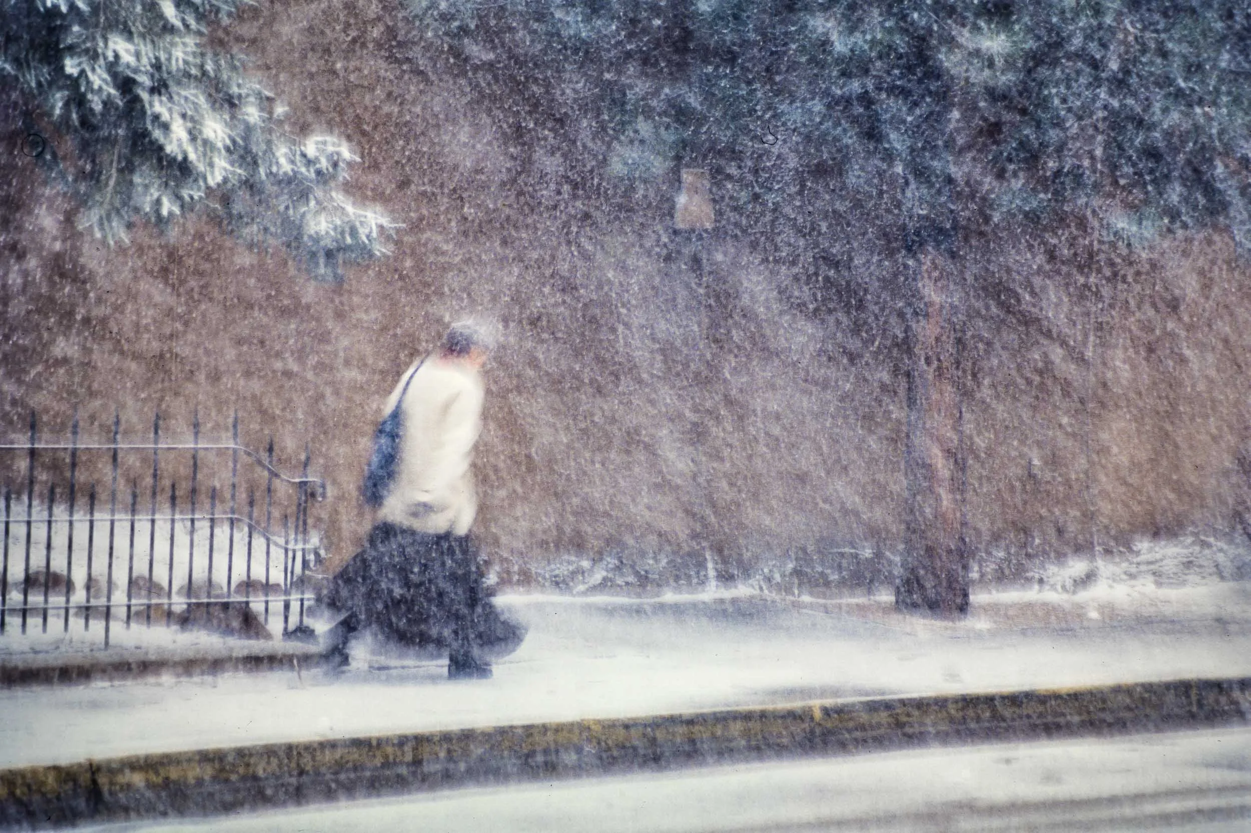 Woman in Snowstorm - Santa Fe, New Mexico