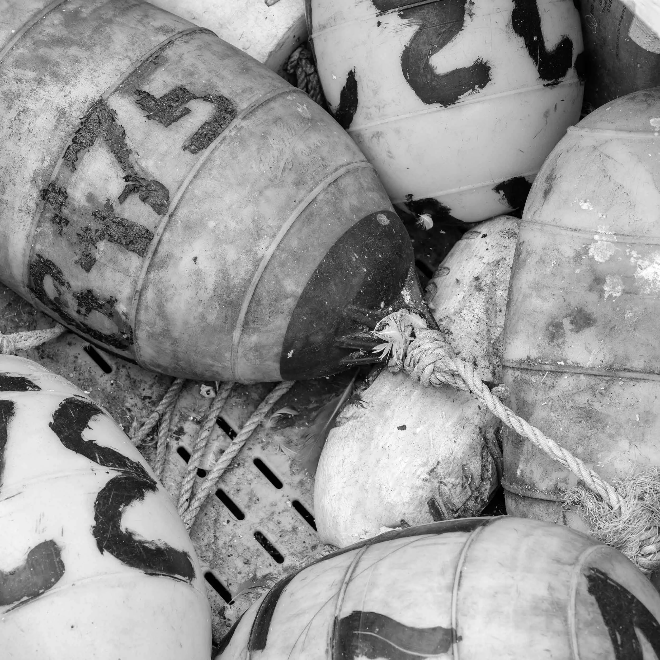 Buoys - Moss Landing, California