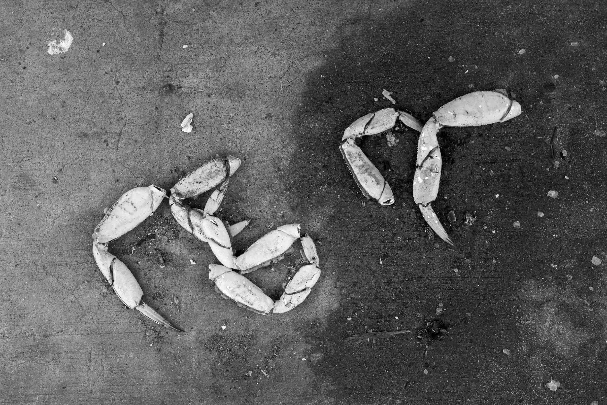 Crab Legs - Moss Landing, California