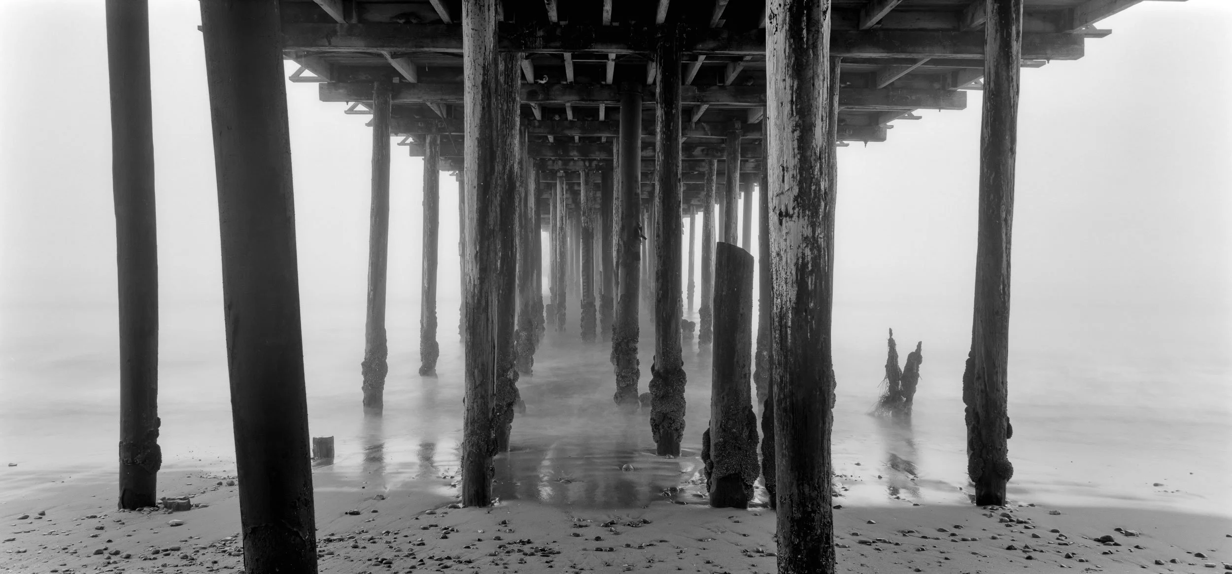 Under the Pier - Seacliff Beach, Aptos