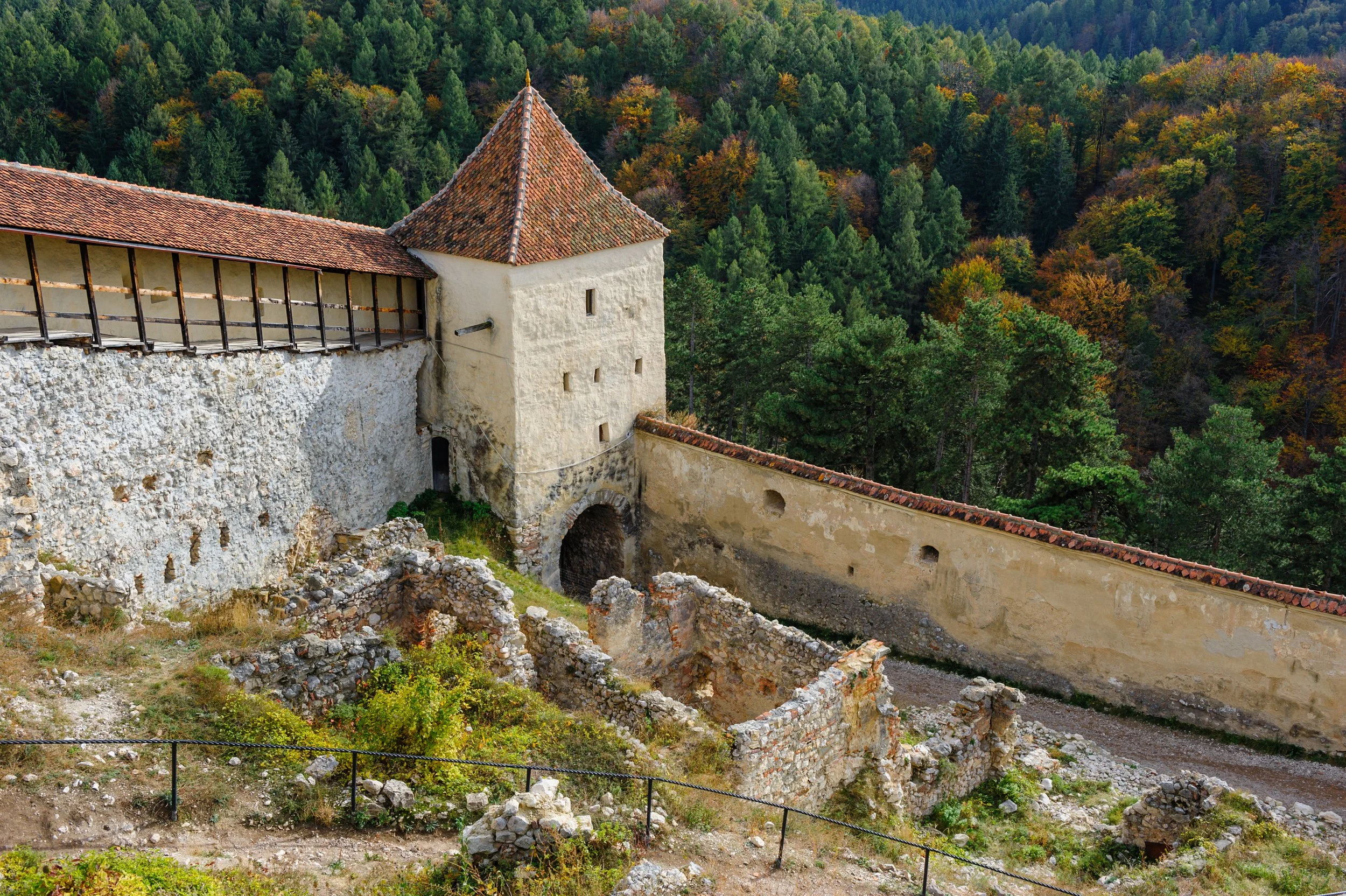Medieval walls and tower of Râșnov Citadel surrounded by dense Carpathian forest in Brașov County, Transylvania, Romania.