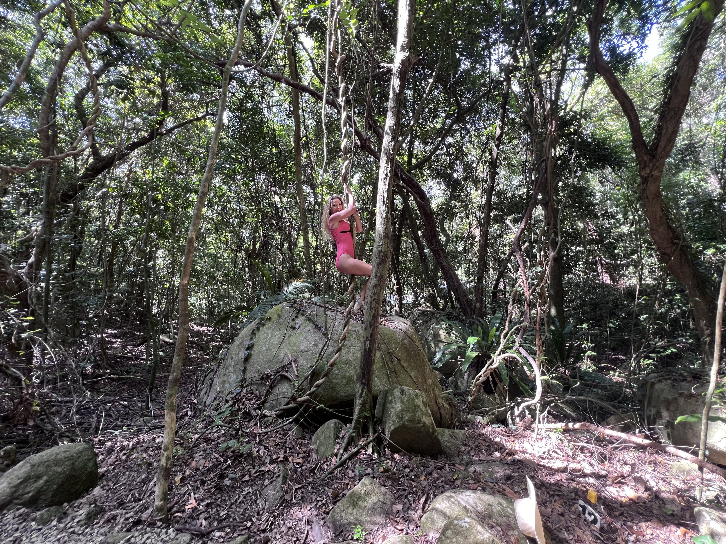 Woman climbing a jungle vine in the tropical rainforest on Fitzroy Island near Cairns, Queensland, Australia.