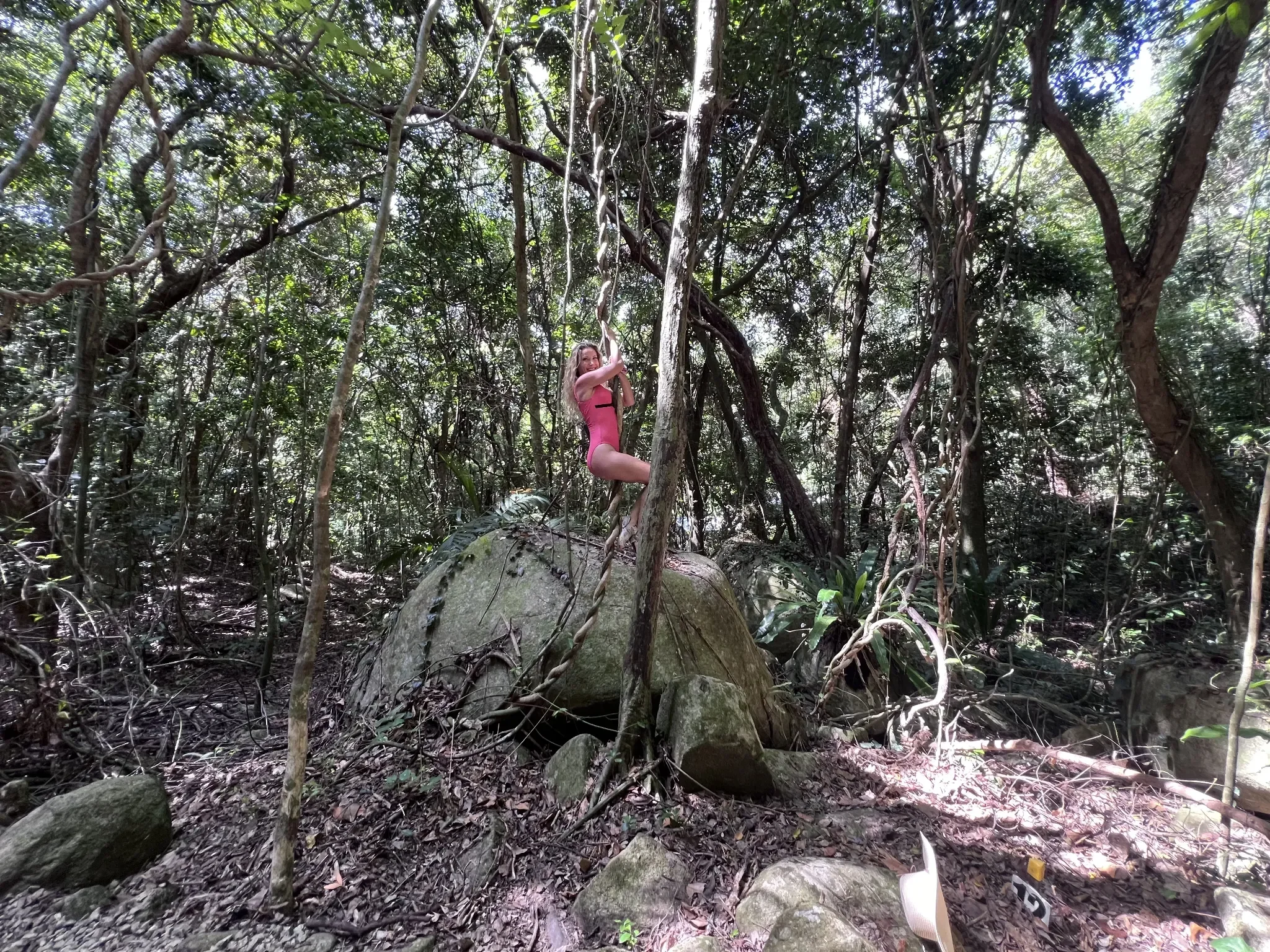 Woman climbing a jungle vine in the tropical rainforest on Fitzroy Island near Cairns, Queensland, Australia.