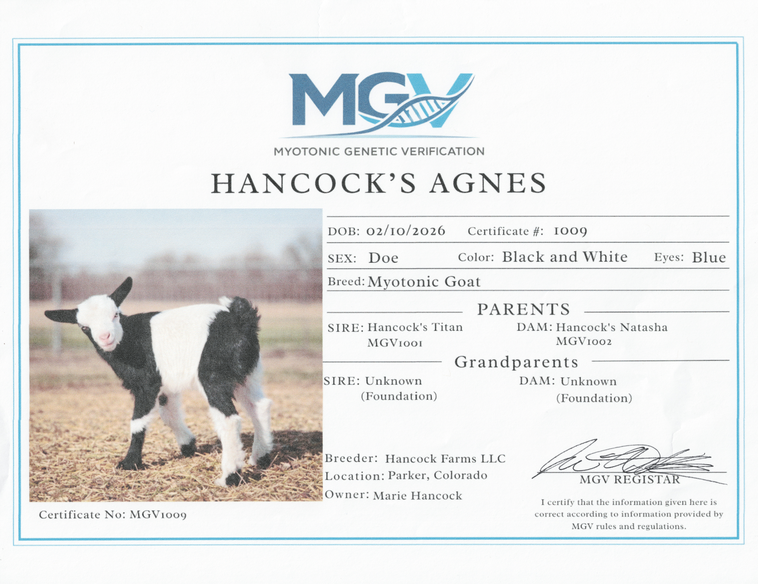 Hancock's Agnes MGV#1009 Certificate 1.png