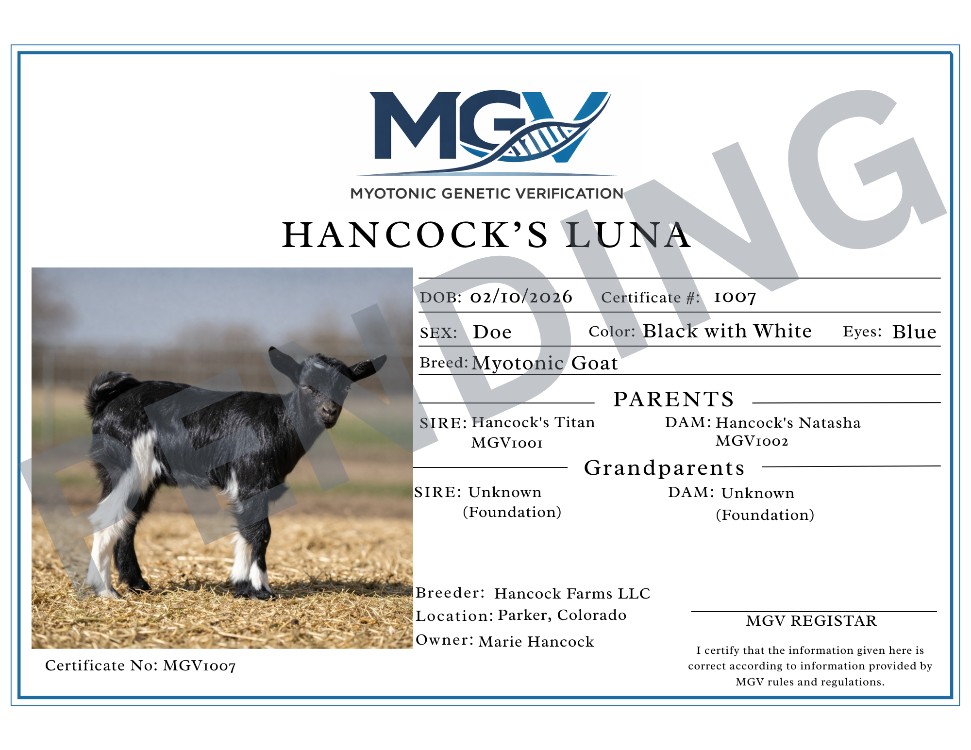 Luna Pending Certification.png