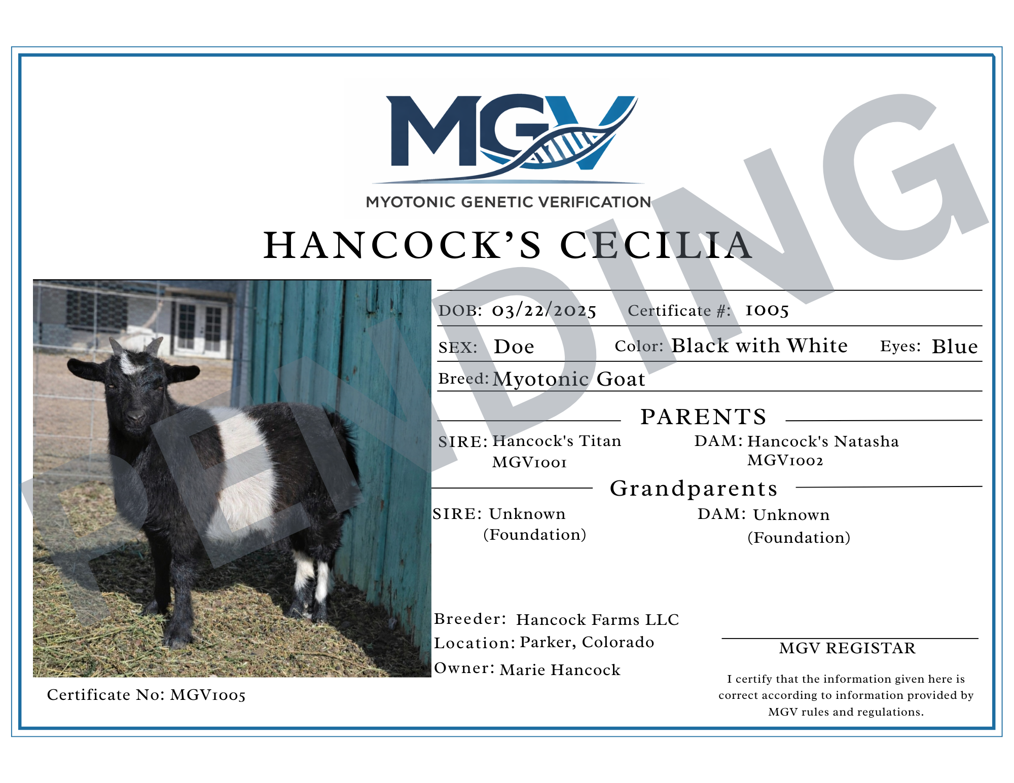 Cecilia Pending Certification.png