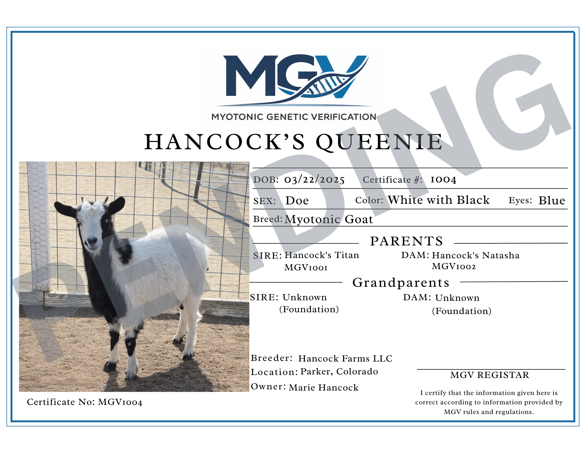 Queenie Pending Certification.png