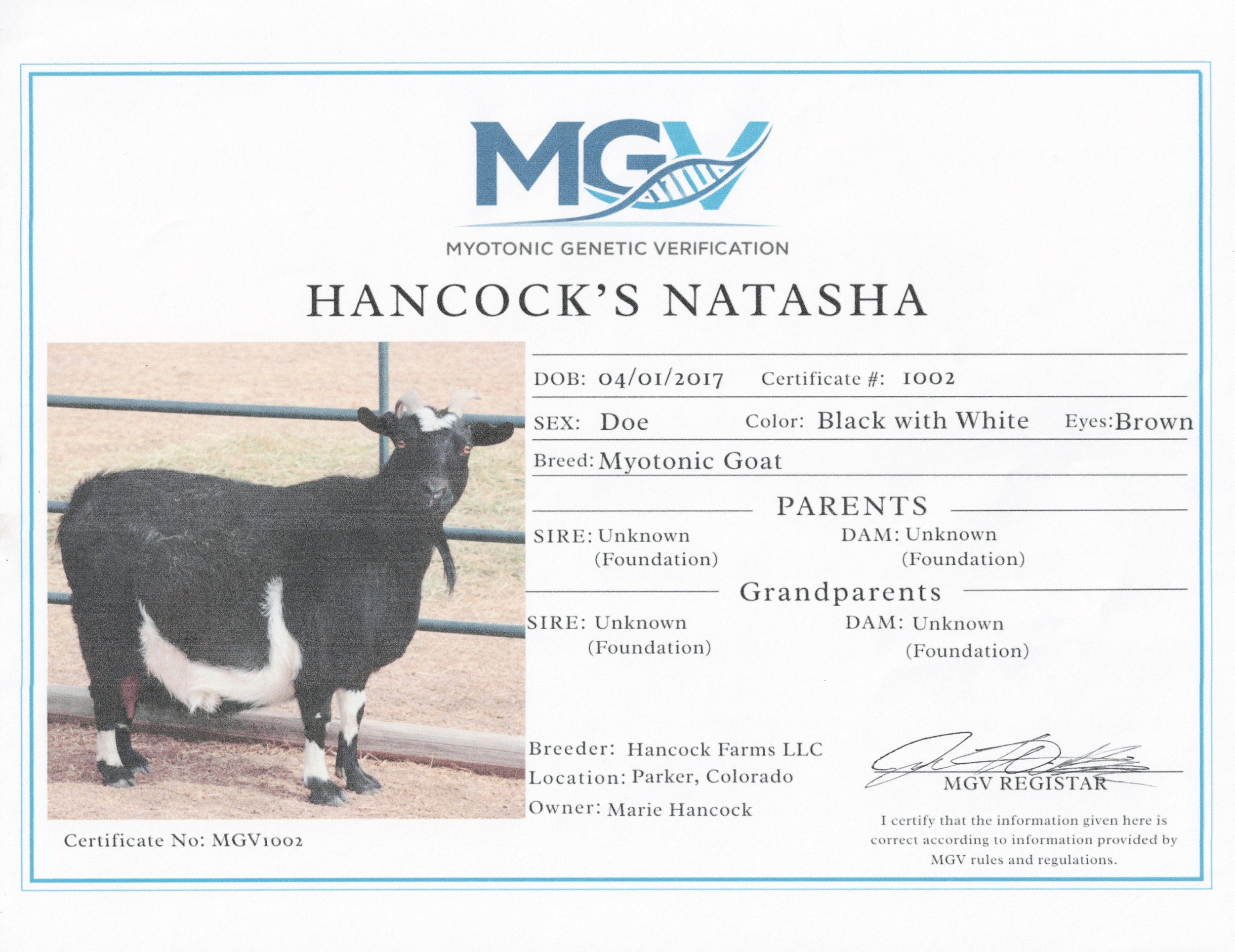 Hancock's Natasha MGV#1002 Certificate.png