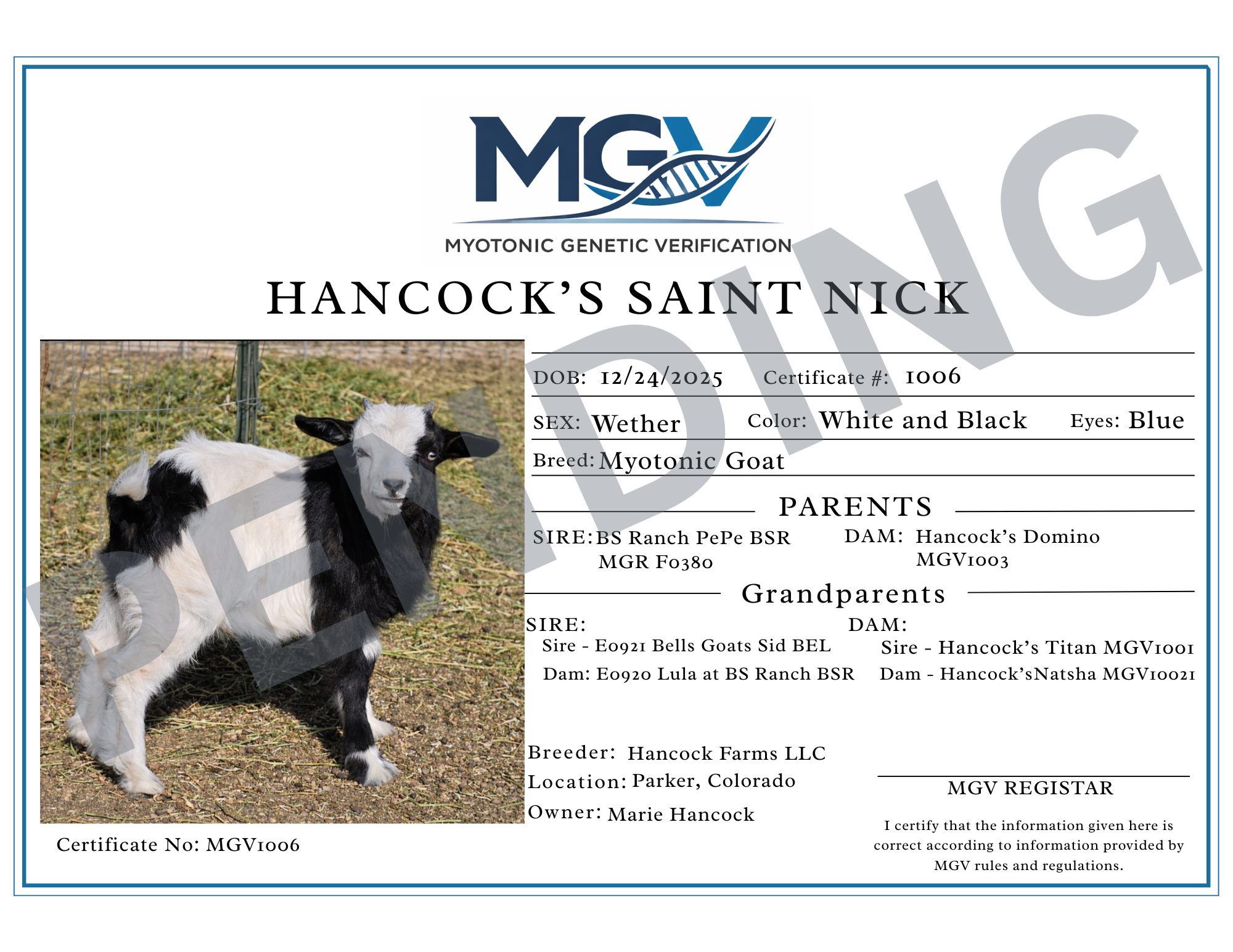 Saint Nick Pending Certificaiton.png