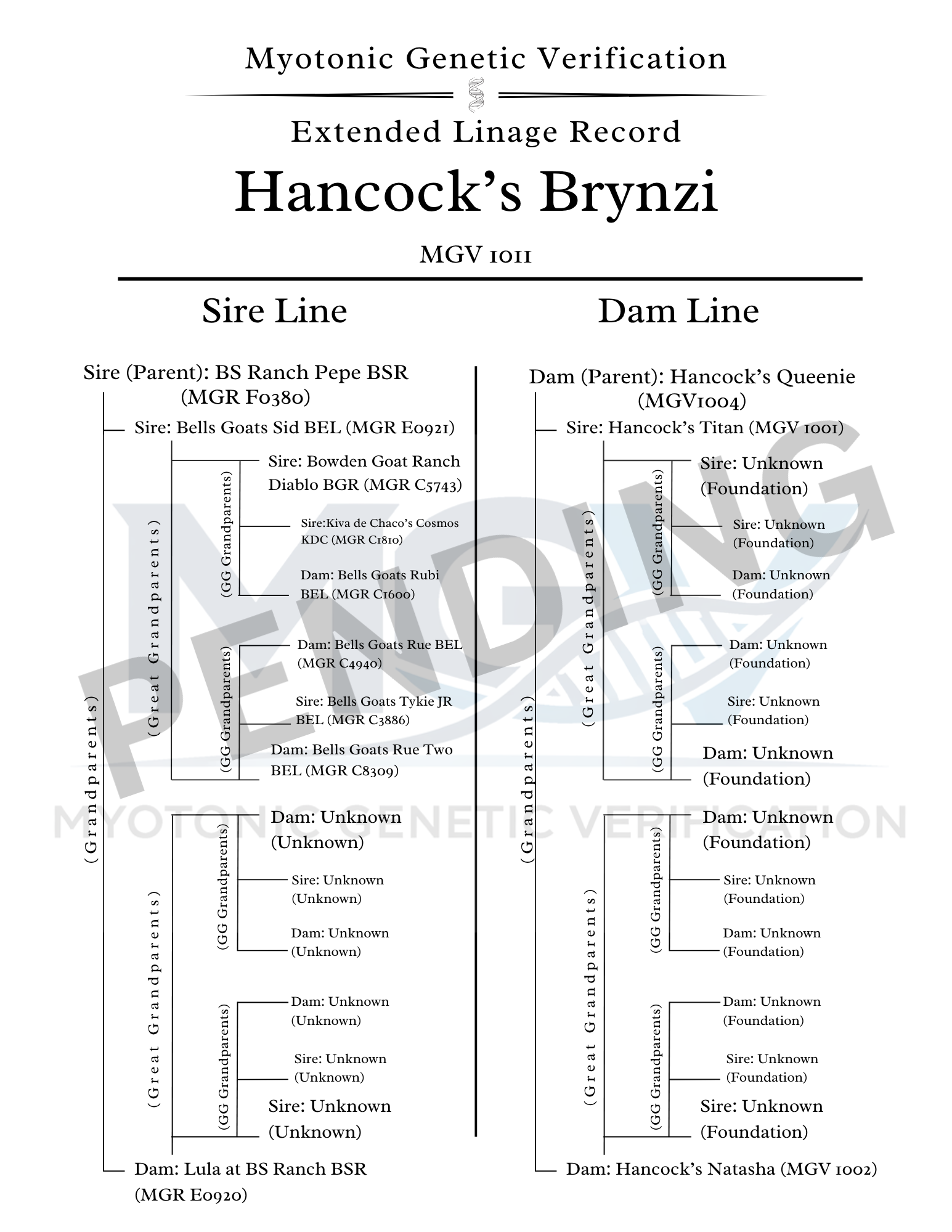 Myotonic Genetic Verification Extended Linage Record (1).png