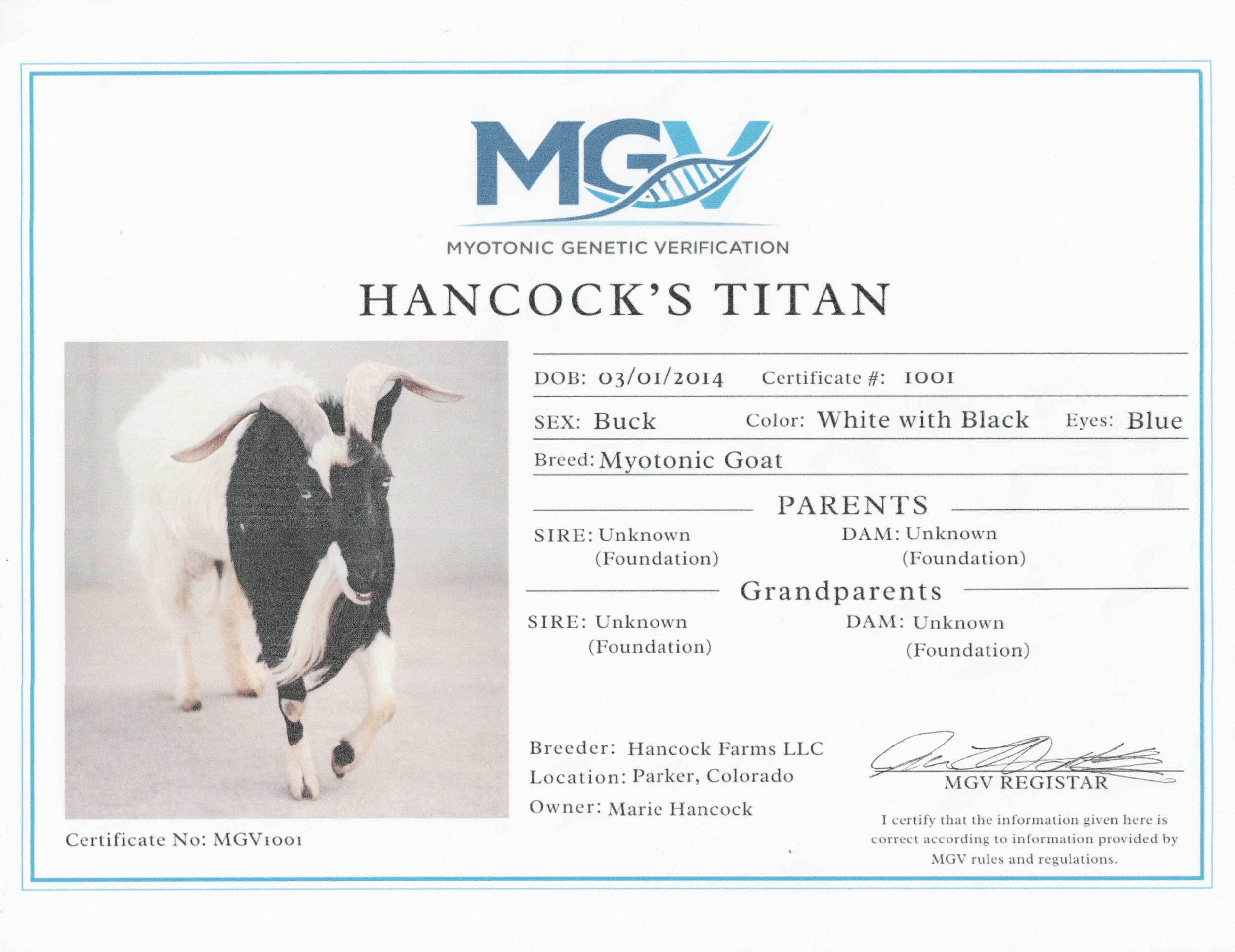 Hancock's Titian MGV#1001 Certificate.png