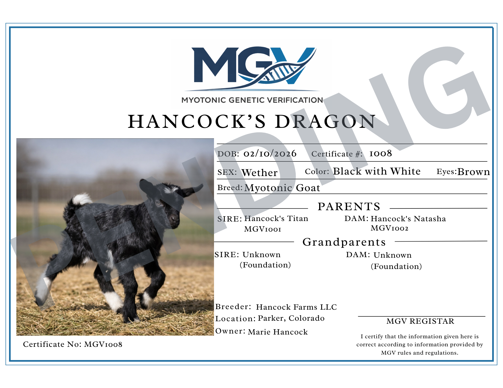 Dragon Pending Certification.png