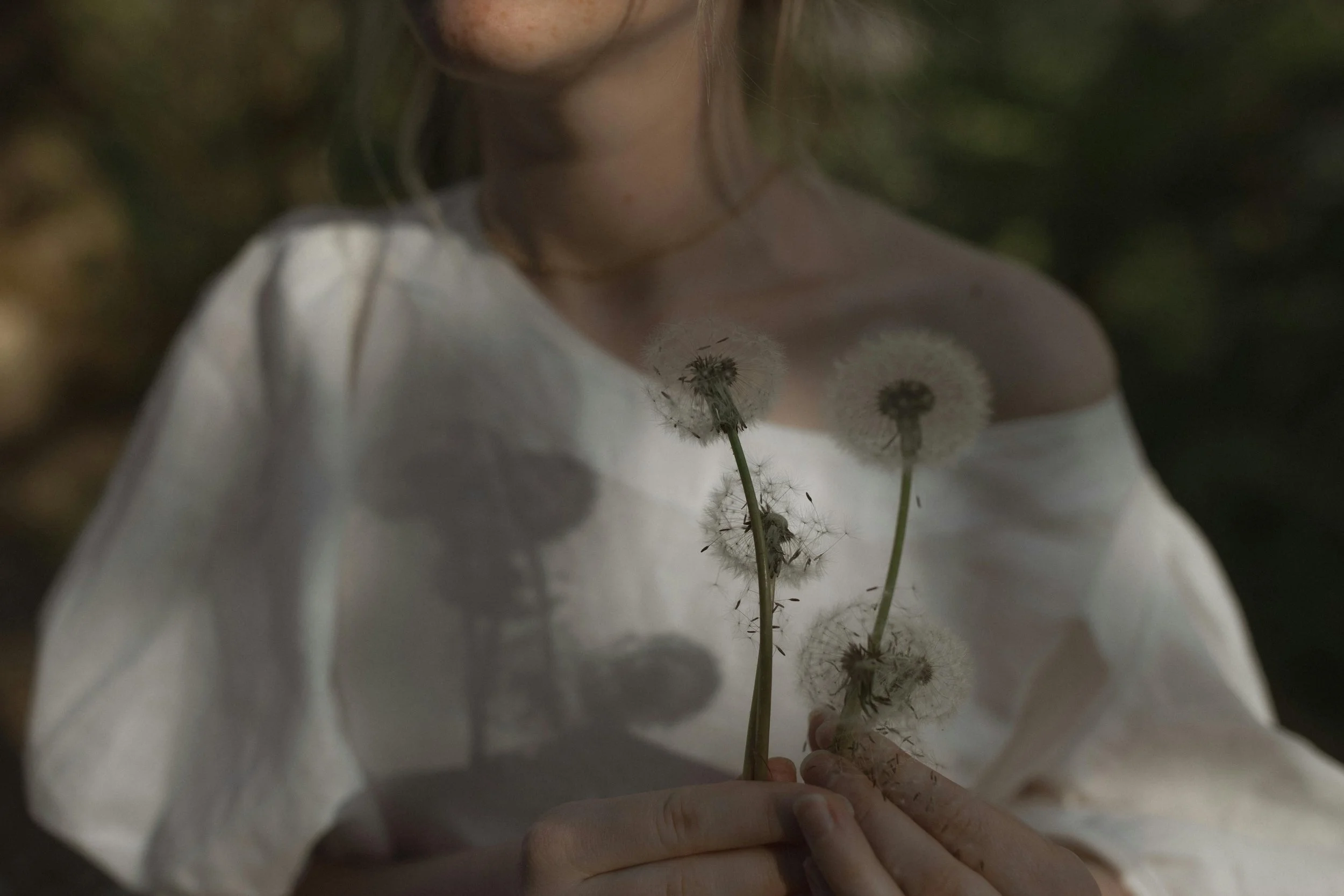 A person in a white shirt holding a dandelion puff in front of the camera. The person's face is not visible, and the background is blurry with dark green foliage.