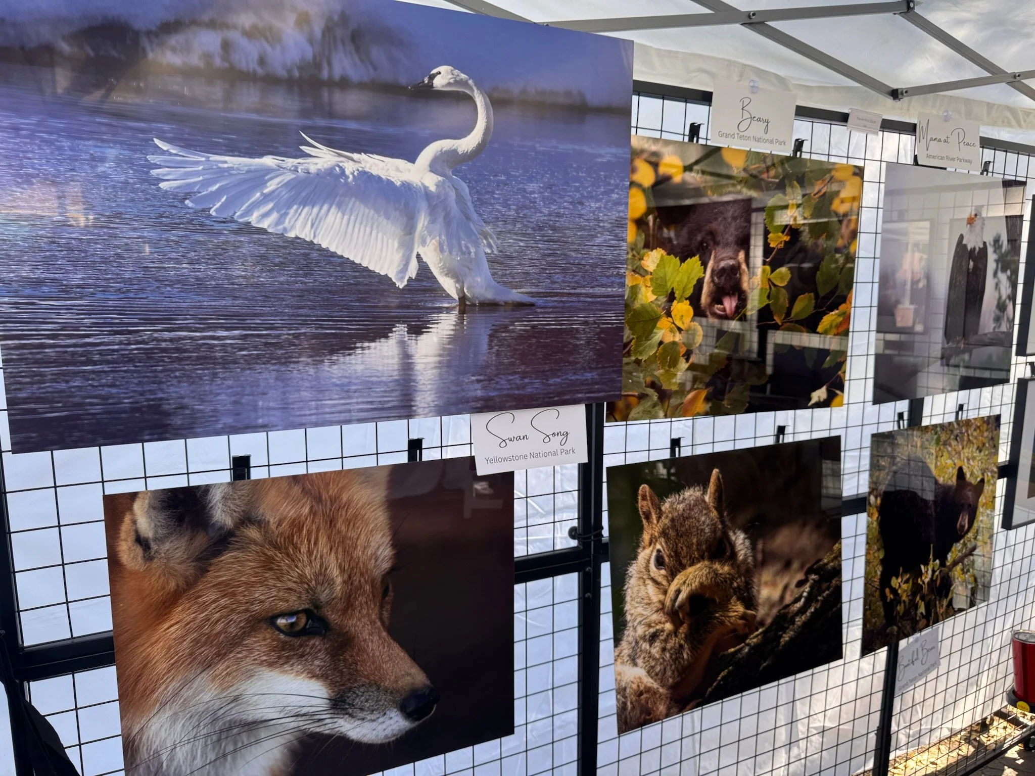 Art at the Market