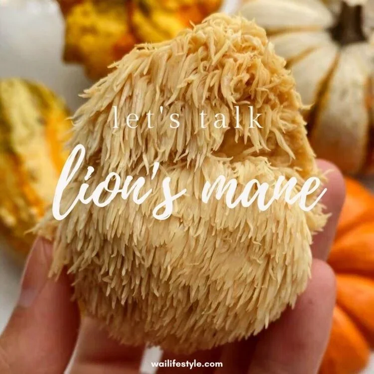 LET’S TALK ABOUT LION’S MANE