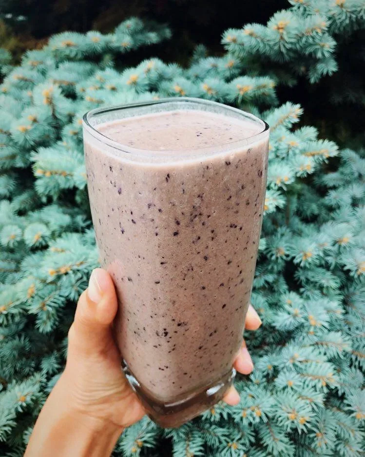 wild blueberries chocolate shake