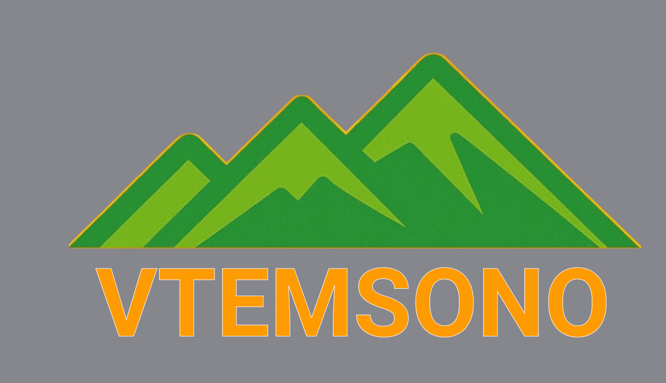 VTEMSONO LLC  