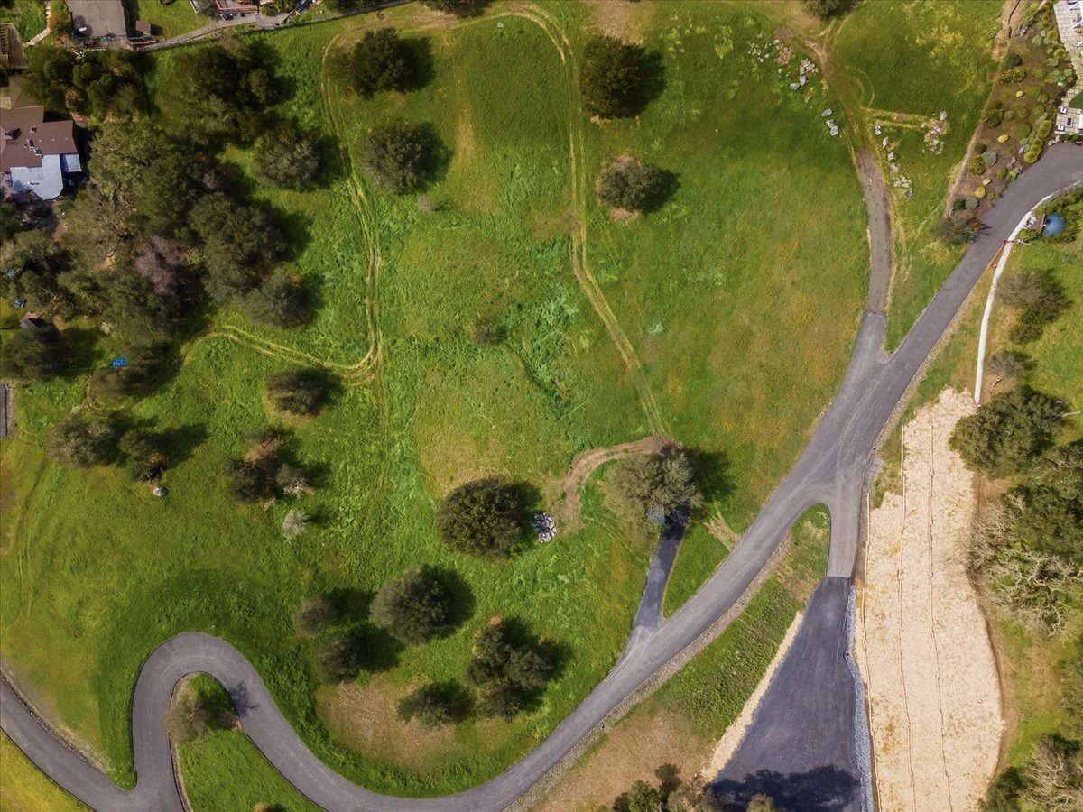 An aerial view of a green park with trees, winding dirt paths, and a road running along the edge of the park area.