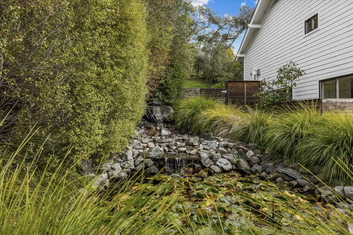 A backyard with a pond filled with lily pads, surrounded by rocks and tall green plants, with a white house and wooden fence in the background.