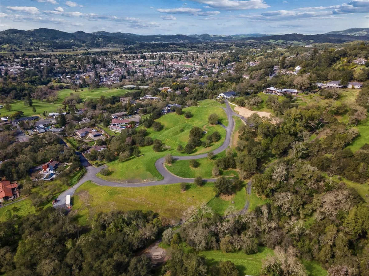 Aerial view of a suburban neighborhood with winding roads, green lawns, and trees, with a cityscape and rolling hills in the background.