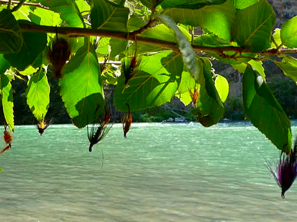 P1000445-1.png