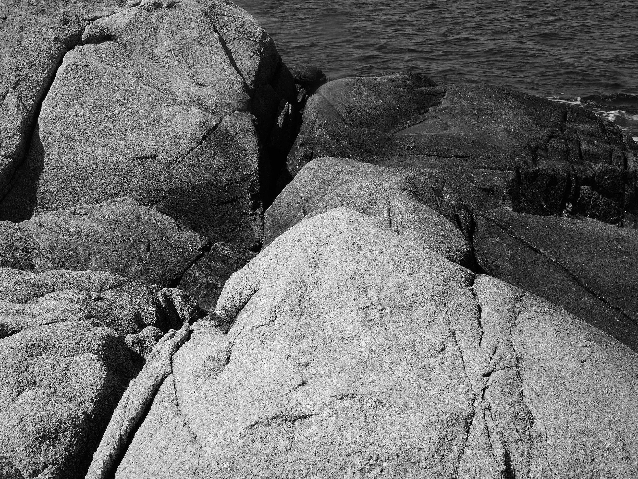 DSCF3722.jpg