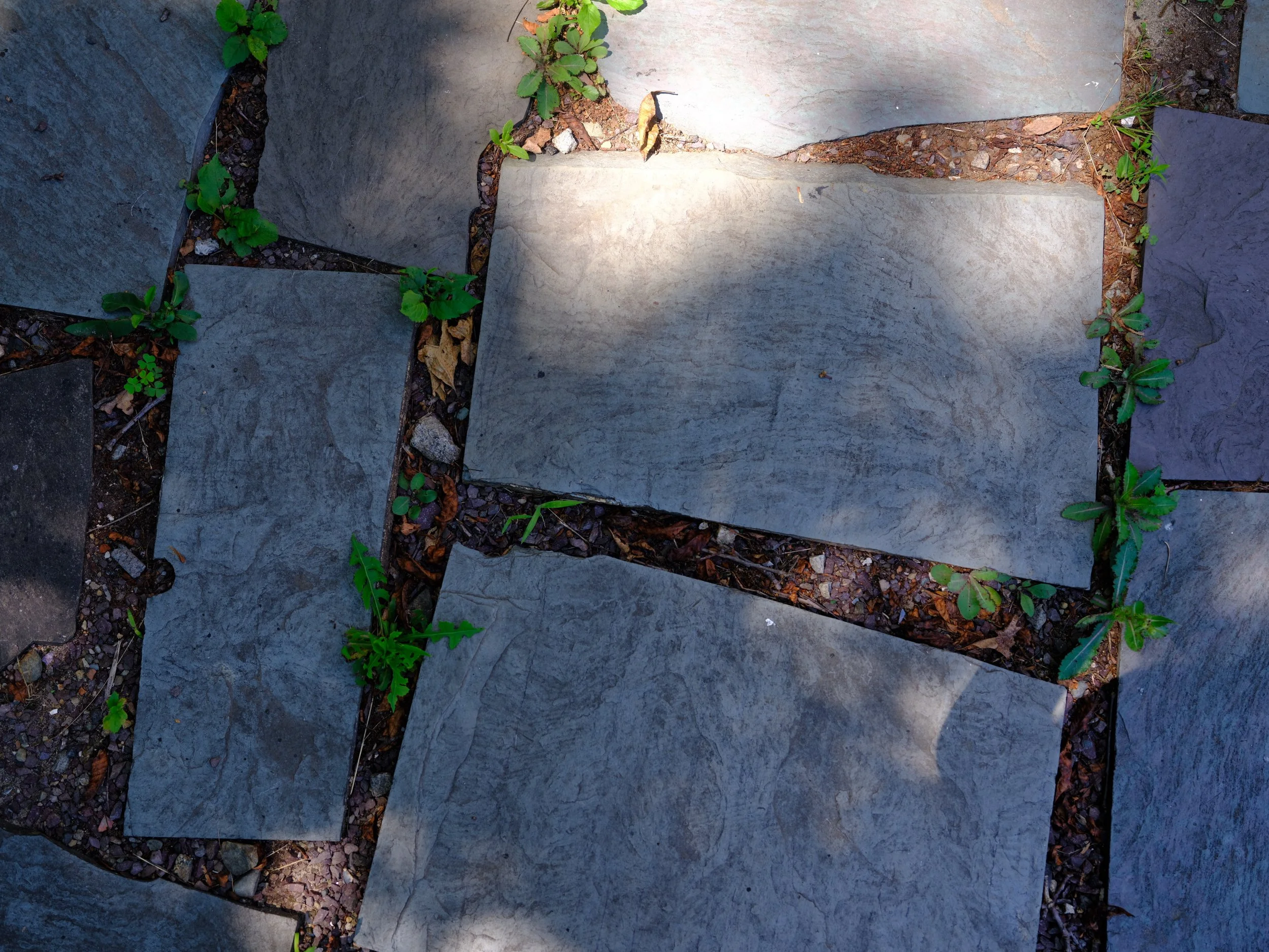 DSCF3664.jpg