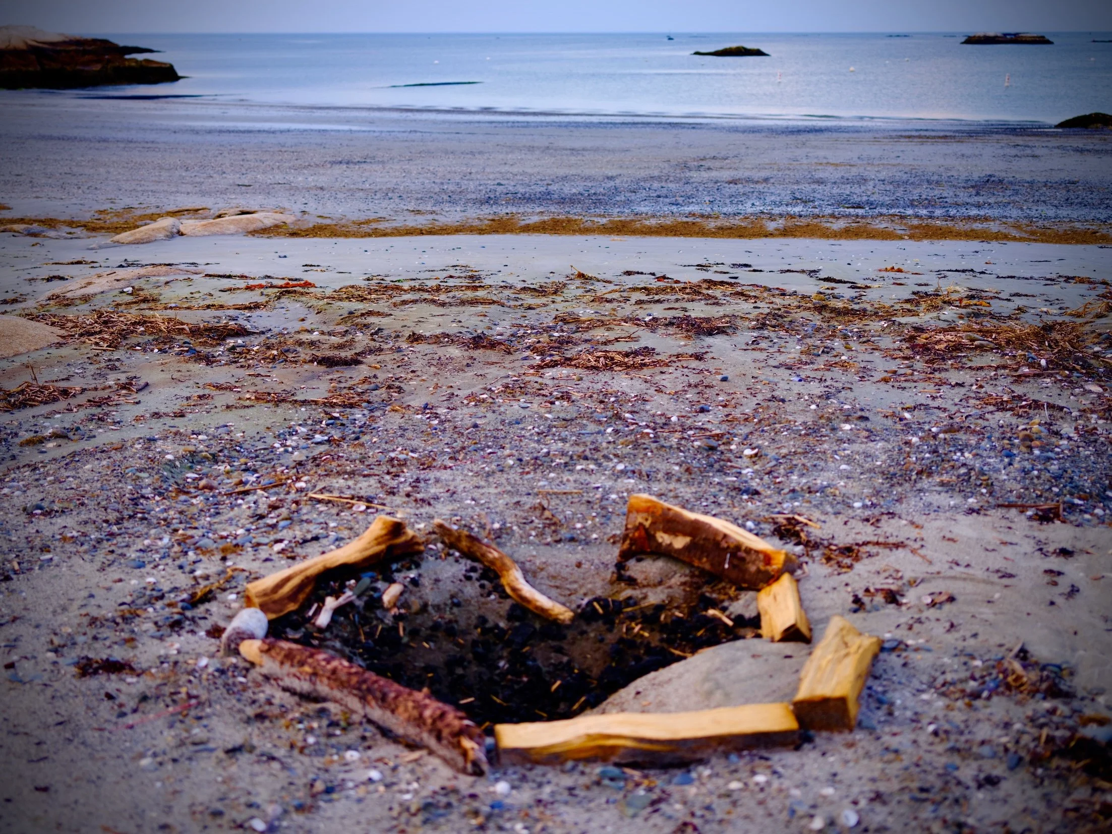 DSCF3817.jpg