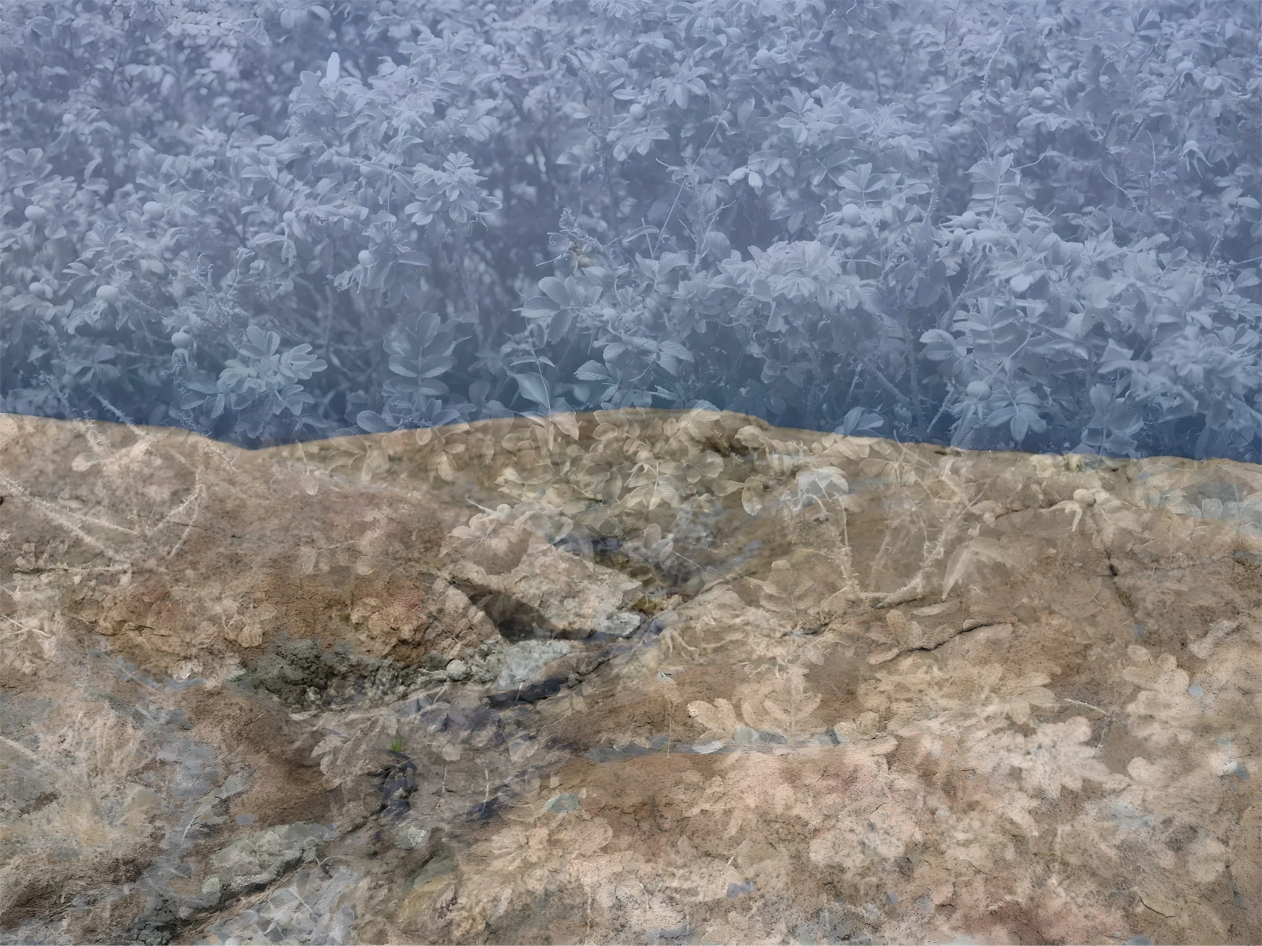 CliffsofArbel.jpg