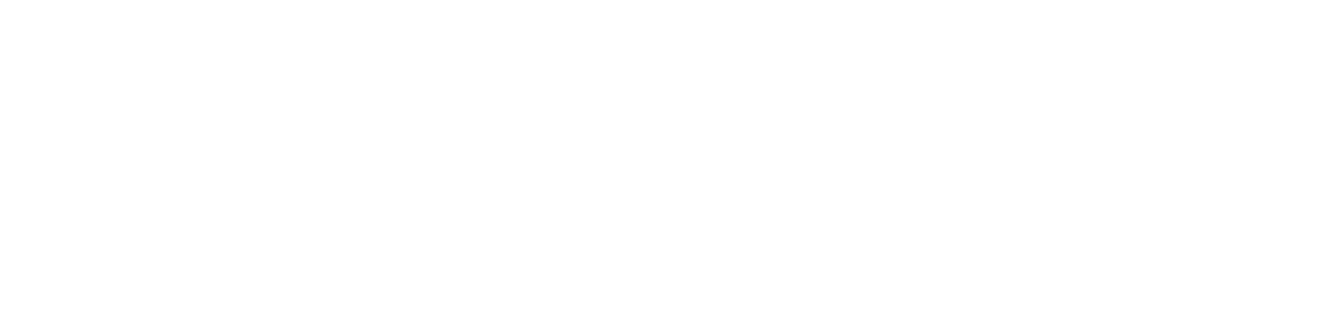 Profile Solutions Group